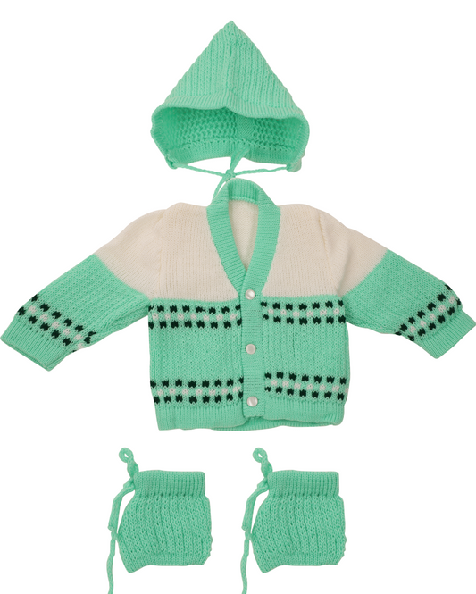 Knit Full Sleeves Sweater with Colour Block Design- Green