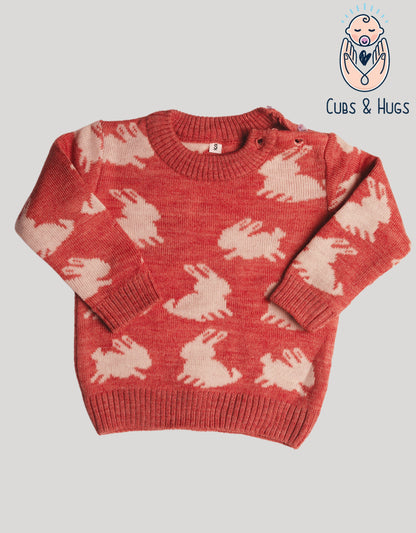 Full Sleeves Baby Woolen Sweater Pullover Cardigan-Rabbit